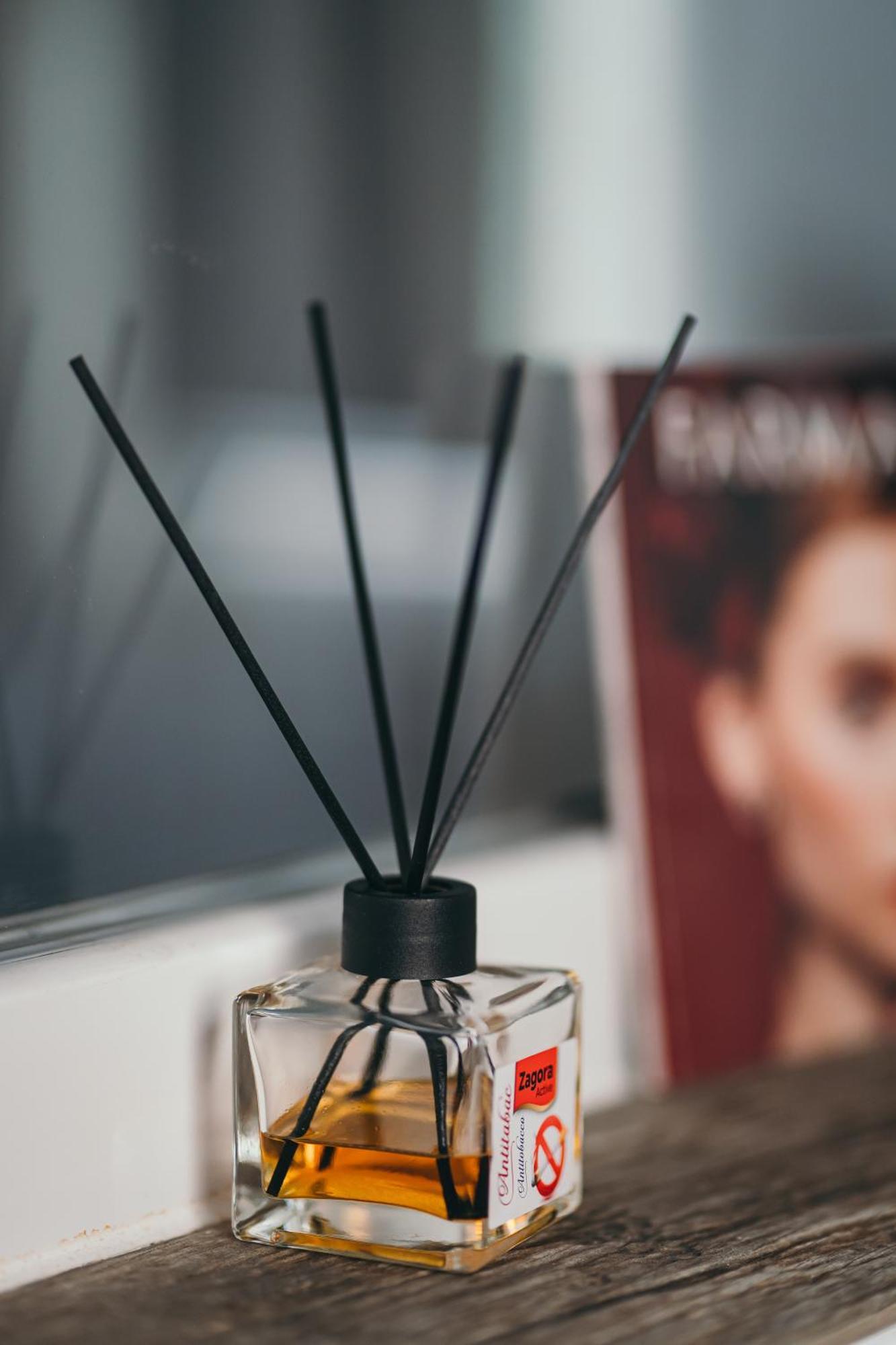 Insomnia Studio Szörényvár Kültér fotó